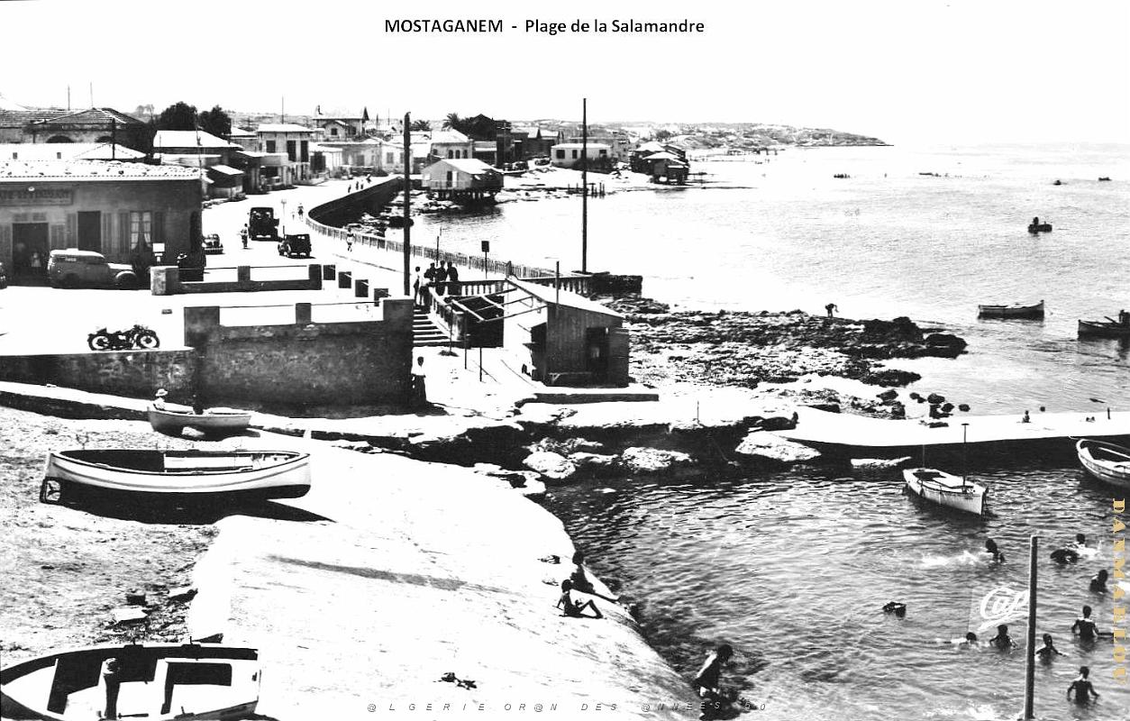 Mostaganem - Plage de la Salamandre.jpg